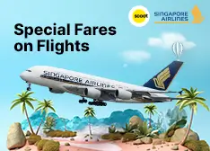Singapore Offer